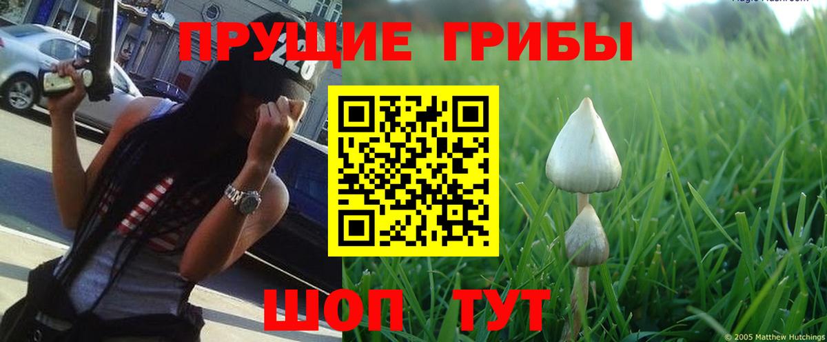 Галлюциногенные грибы Magic Shrooms  Вход с VPN  Чехов  Галлюциногенные грибы Magic Shrooms 
